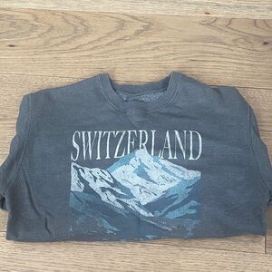 Hollister Gray Switzerland Sweatshirt